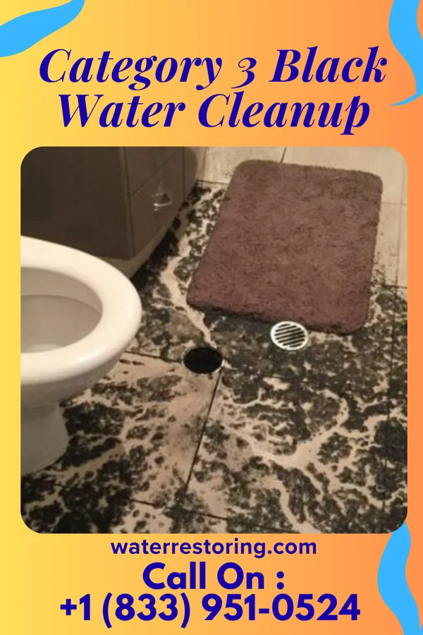 Category 3 Black Water Cleanup in Roseland, OH