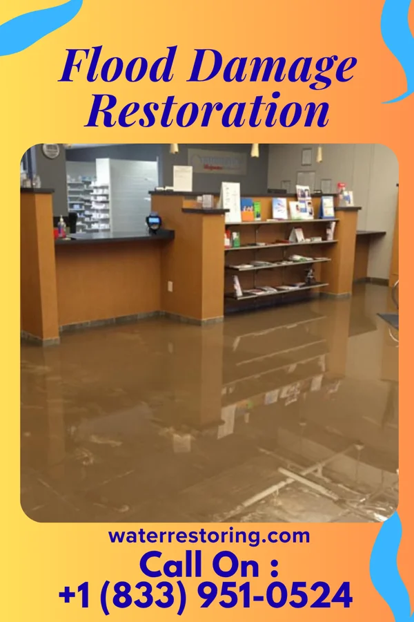 Flood Damage Restoration in Roseland, OH