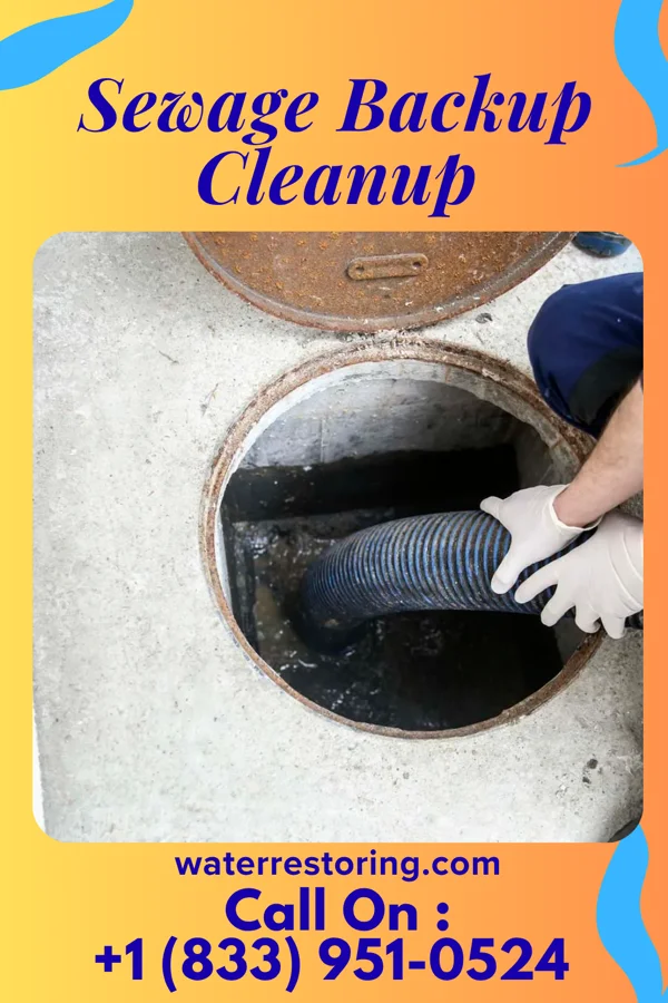 Sewage Backup Cleanup in Roseland, OH